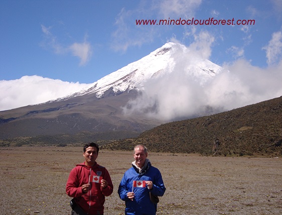 driver guide in ecuador