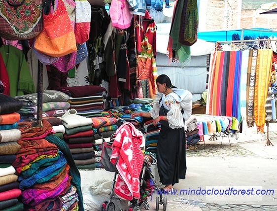 driver guide in ecuador