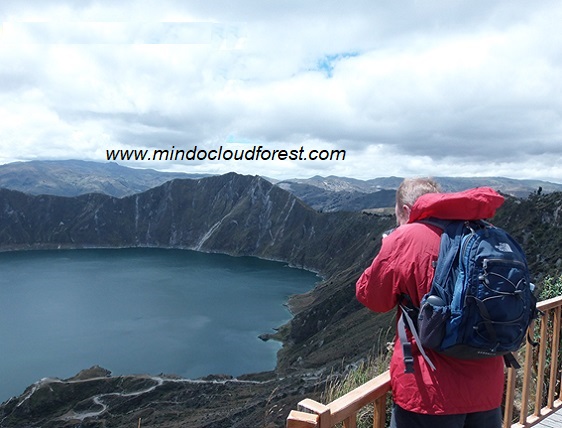 driver guide in ecuador