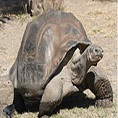 galapagos cruise