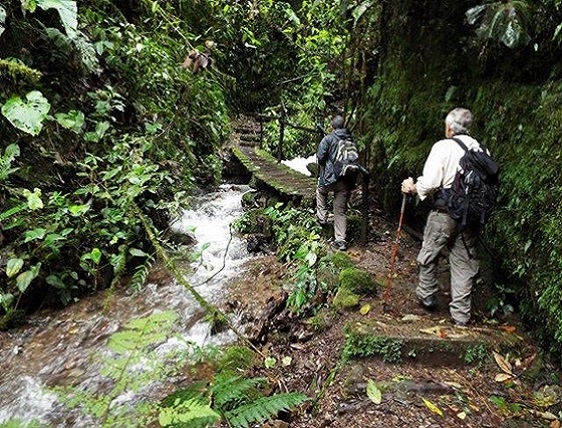 mindo hiking tour