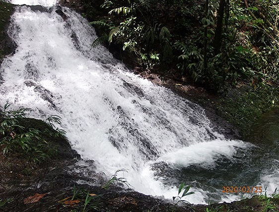 mindo hiking and birds