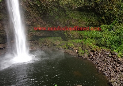 mindo hiking tours