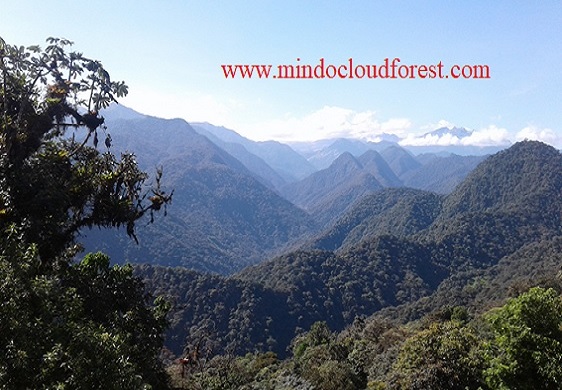 mindo cloud forest day tour