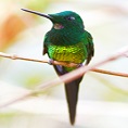 mindo cloud forest tour