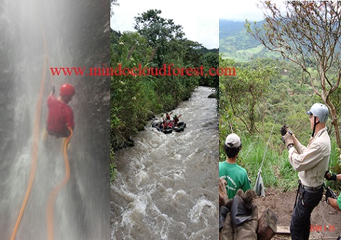 mindo ziplining tours