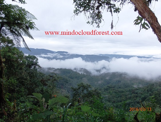 mindo hiking tours