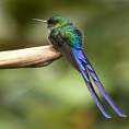 mindo cloud forest tour